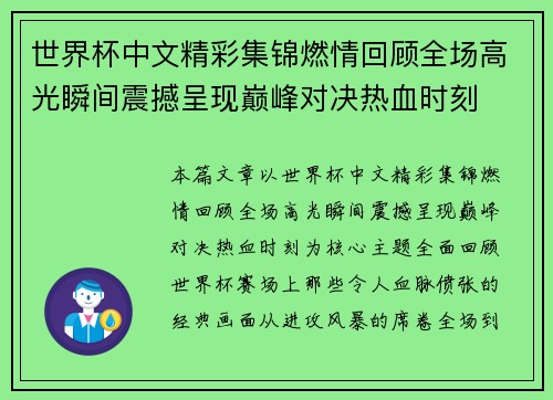 世界杯中文精彩集锦燃情回顾全场高光瞬间震撼呈现巅峰对决热血时刻